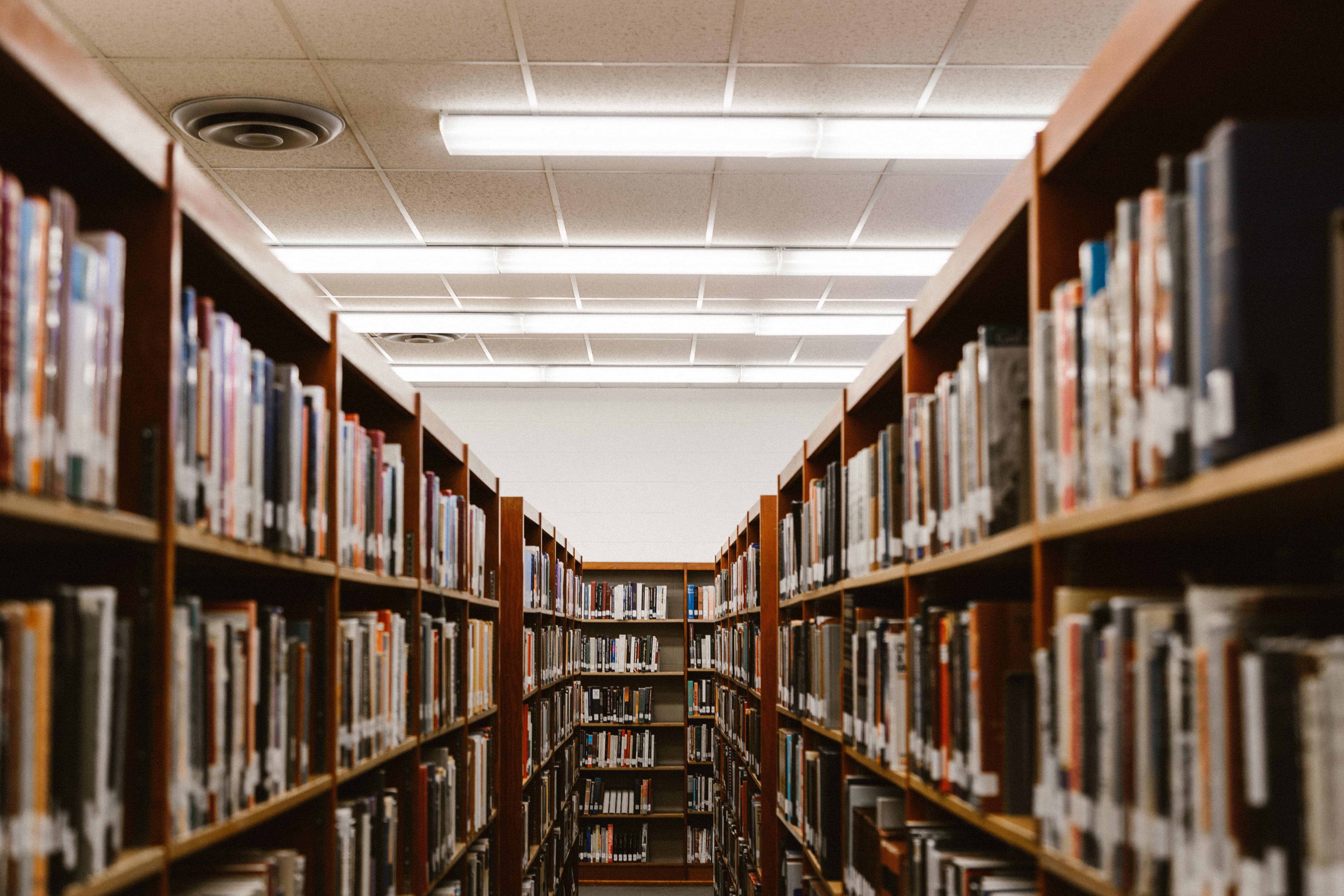 Why Should You Move to LED Lighting for Schools? Featured Image