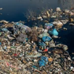 South West Water cryptosporidium fine
