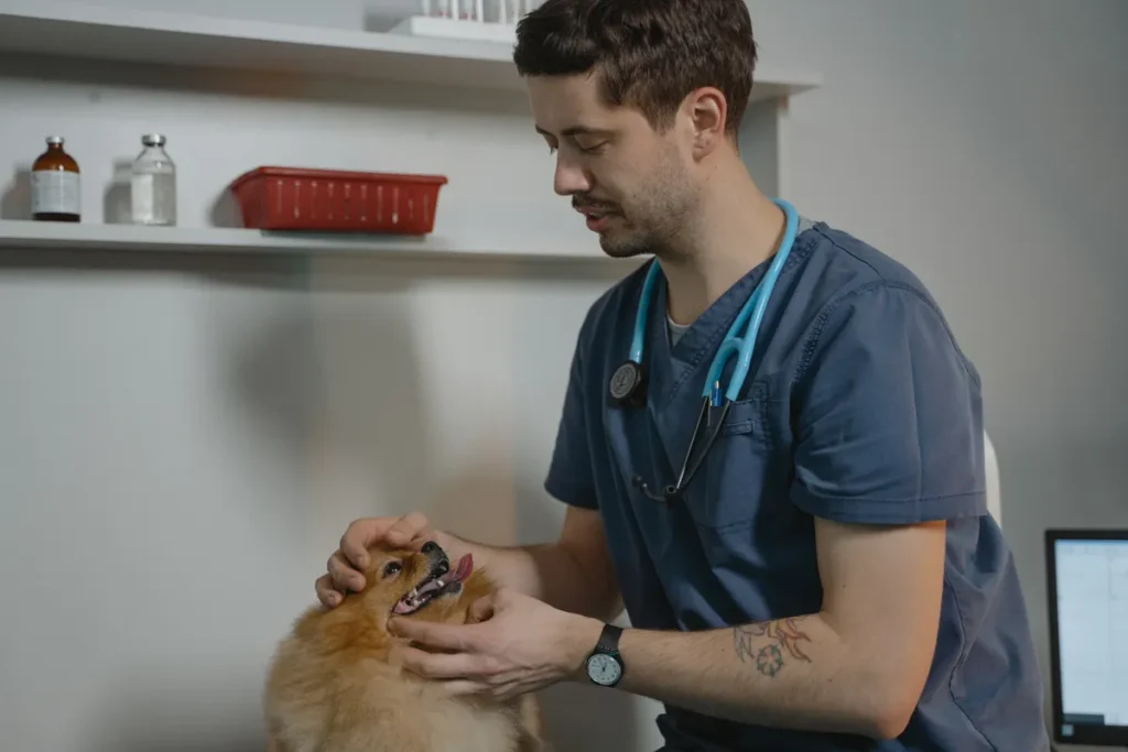 CMA vet pricing reforms