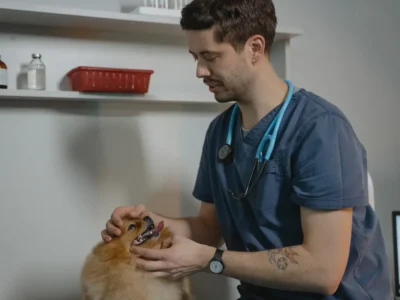CMA vet pricing reforms
