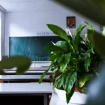 vocational GCSEs England reforms