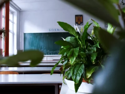 vocational GCSEs England reforms
